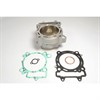 Std Bore Cyl.Kit Ø 96 mm, Kawasaki KXF 450 06-17, inc gask. no piston