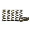Hinson Clutch Springs KTM/HQ SXF 250/350 13-15 FC/FE250 -18, see list